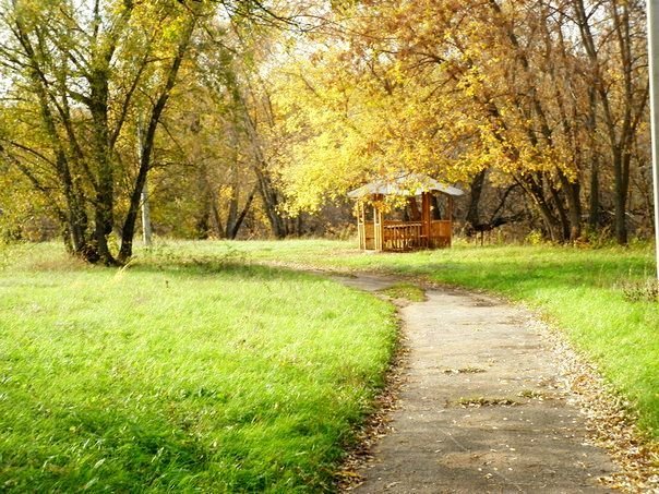 золотая дорожка - Марина 