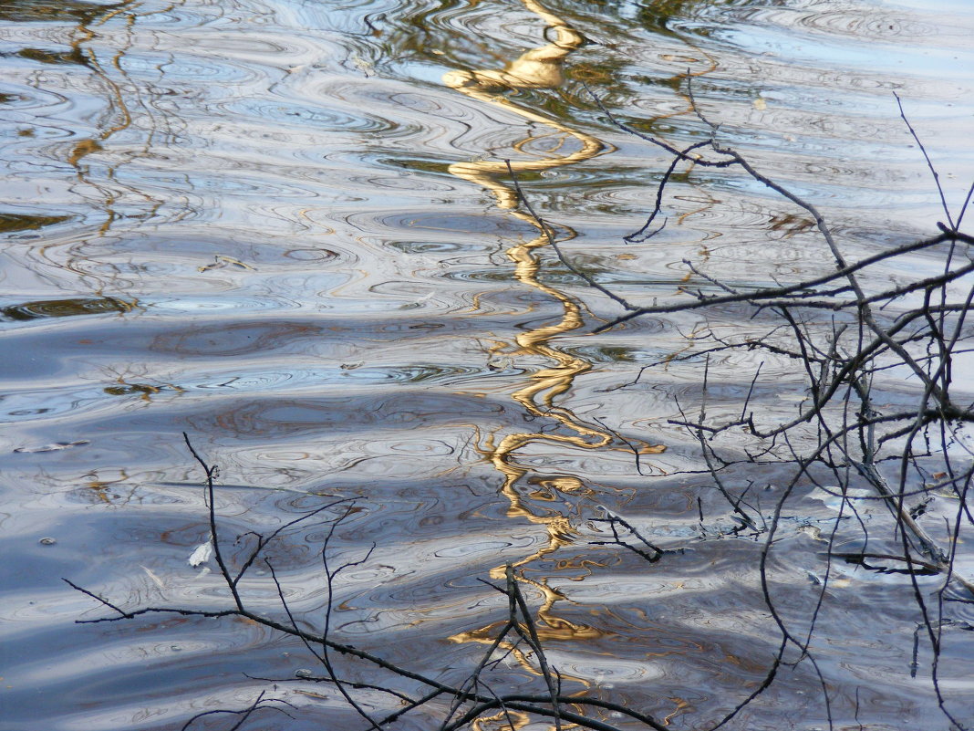 Одежду раскидала, купается нагая... - Мария 