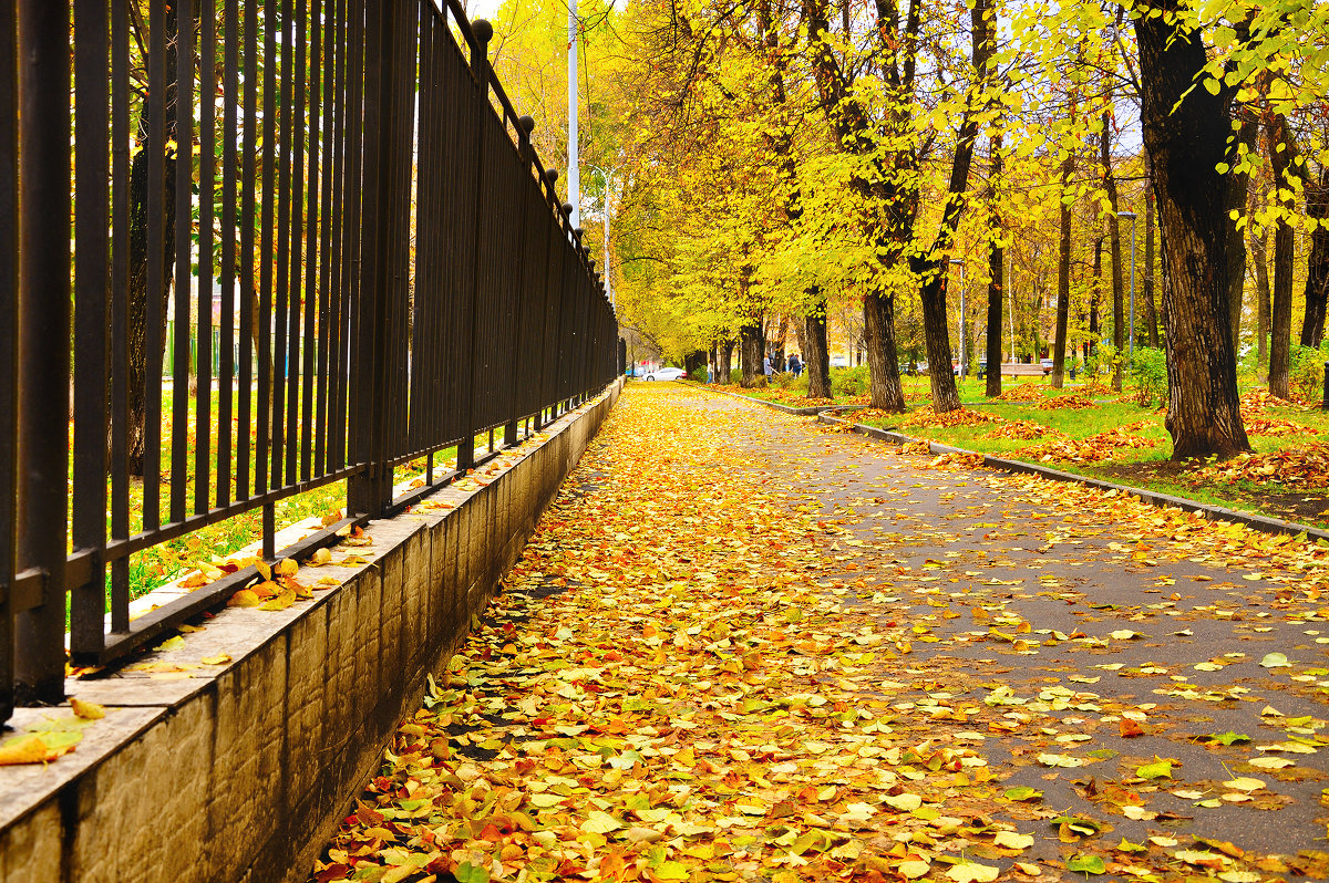 Осень в городе - Yury 