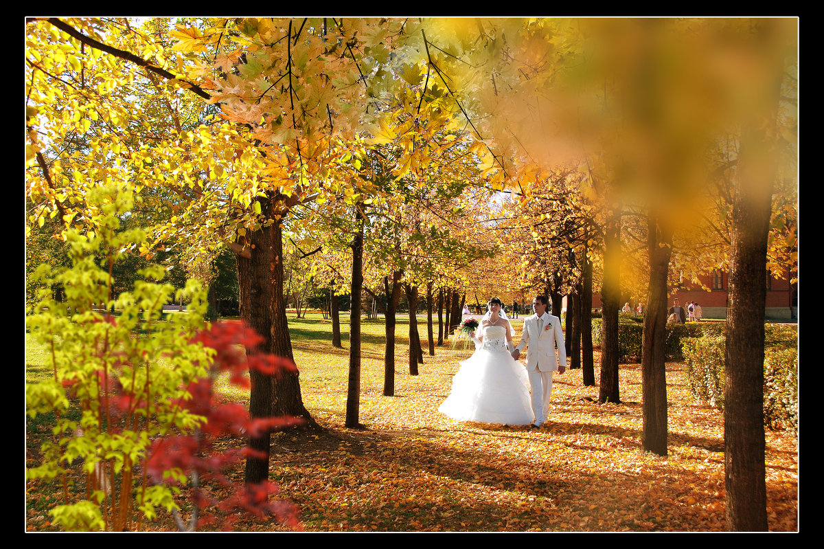 ... - Владимир Широков