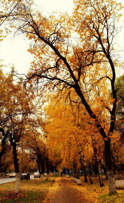 Уж небо осенью дышало - Ильгам Кильдеев