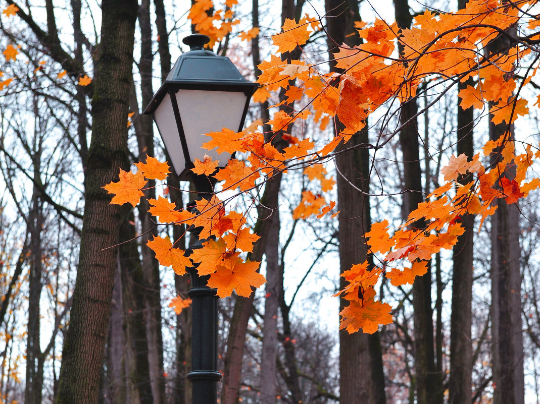 Последние. - Дмитрий dir43