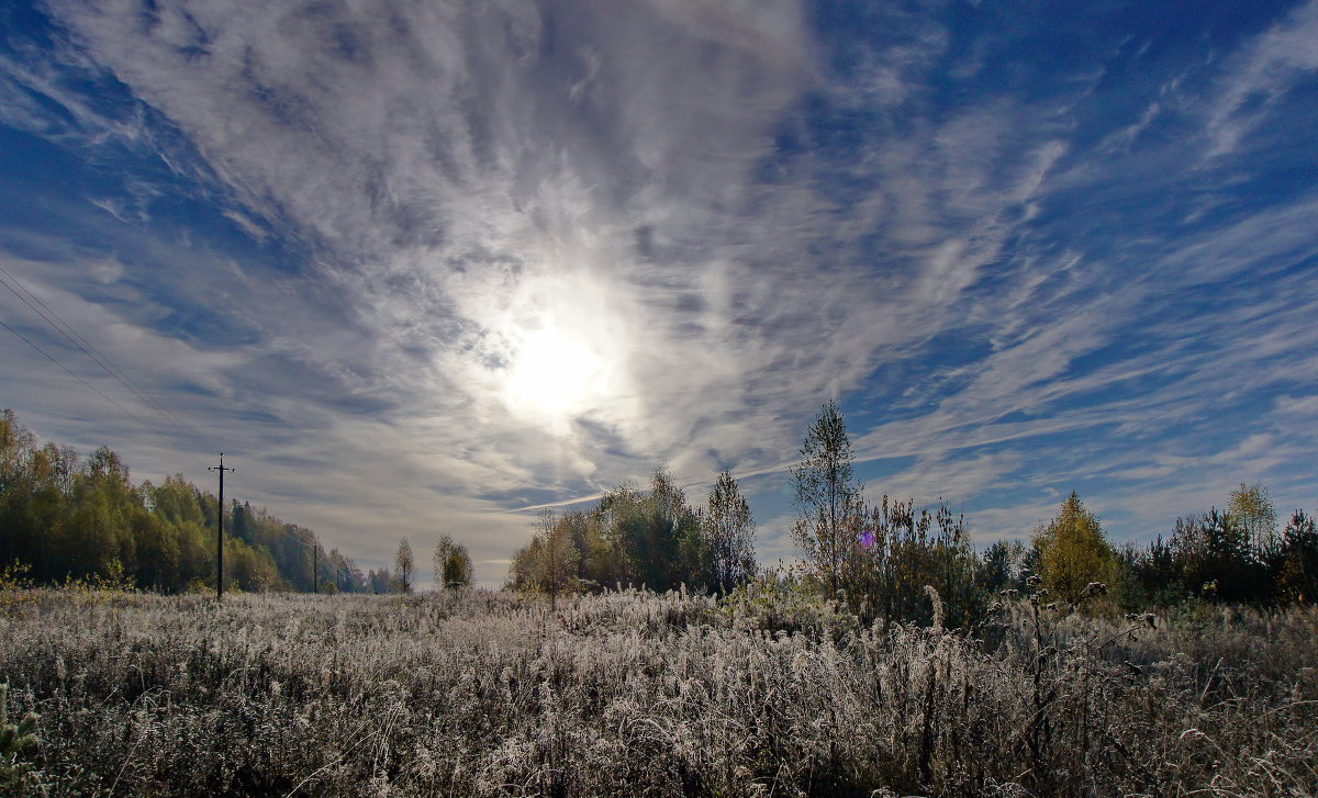 первые заморозки - gribushko грибушко Николай