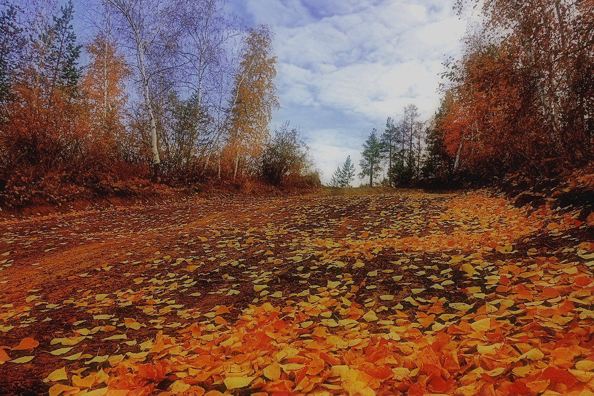 Дорогу стелила осень... - Иван Солонинка