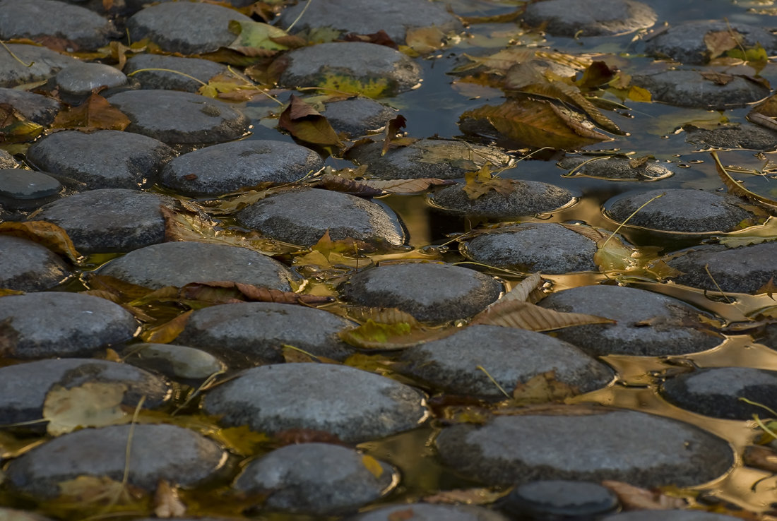 осень - Сергей Мигунов осень - Сергей Мигунов