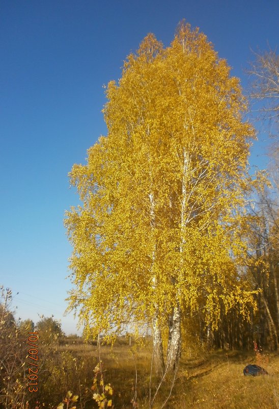 осеняя прогулка - Татьяна Беляева