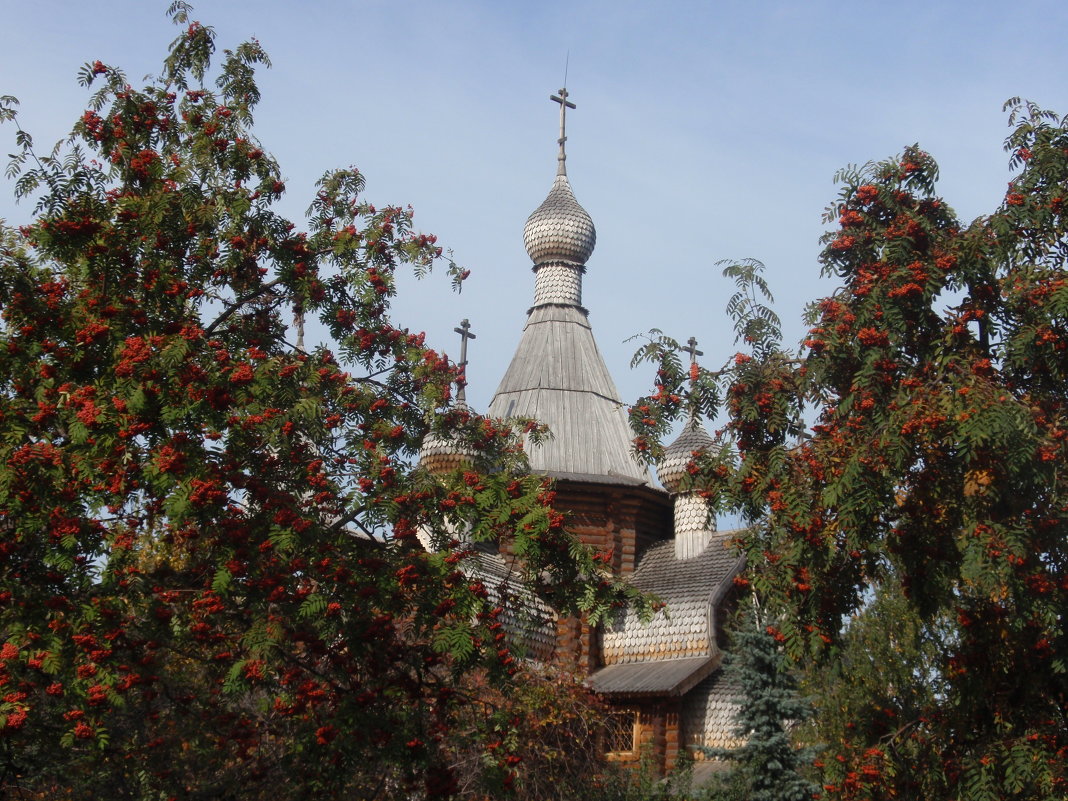 Рябины гроздья алые - Юрий Бомштейн Рябины гроздья алые - Юрий Бомштейн