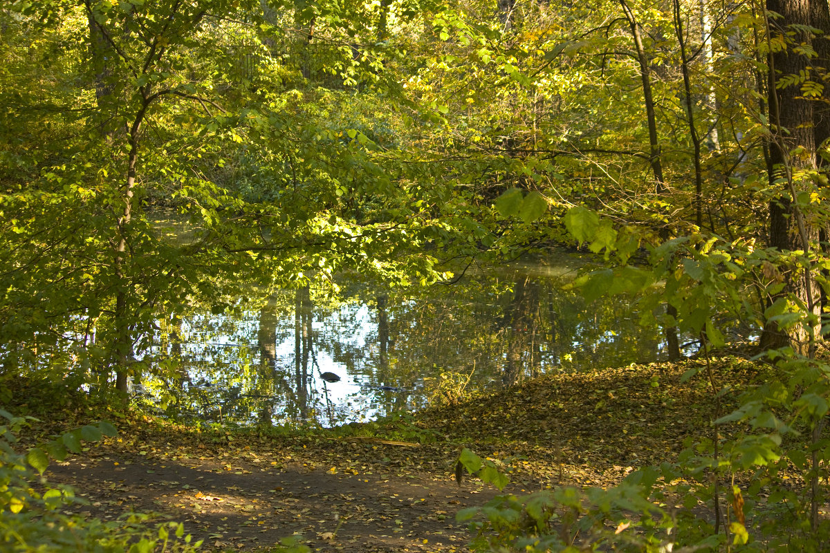 Начало осени - Елена Шахова