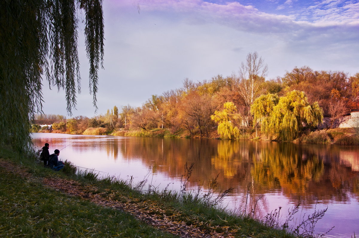 осенние краски - елена 