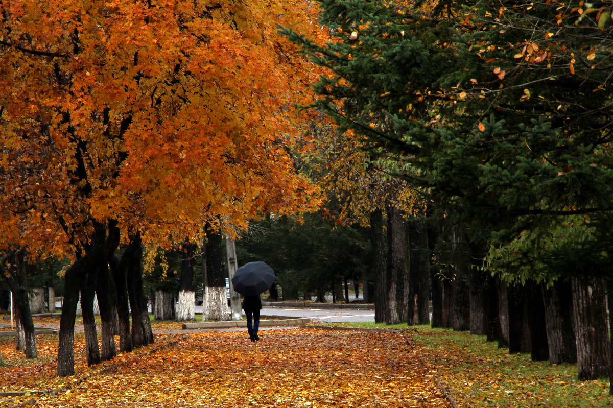 Мгновение осени - Марина Дьяконова