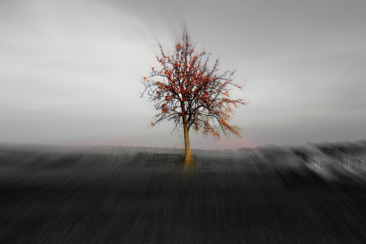 Последний осени салют - Виктор Пегета