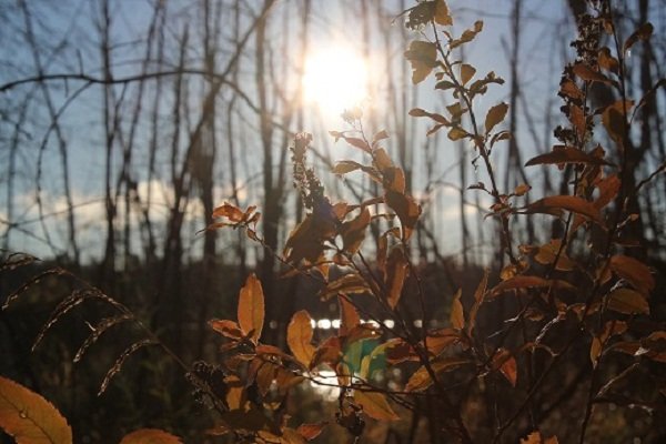 Раннее утро - Айаал дьяконов