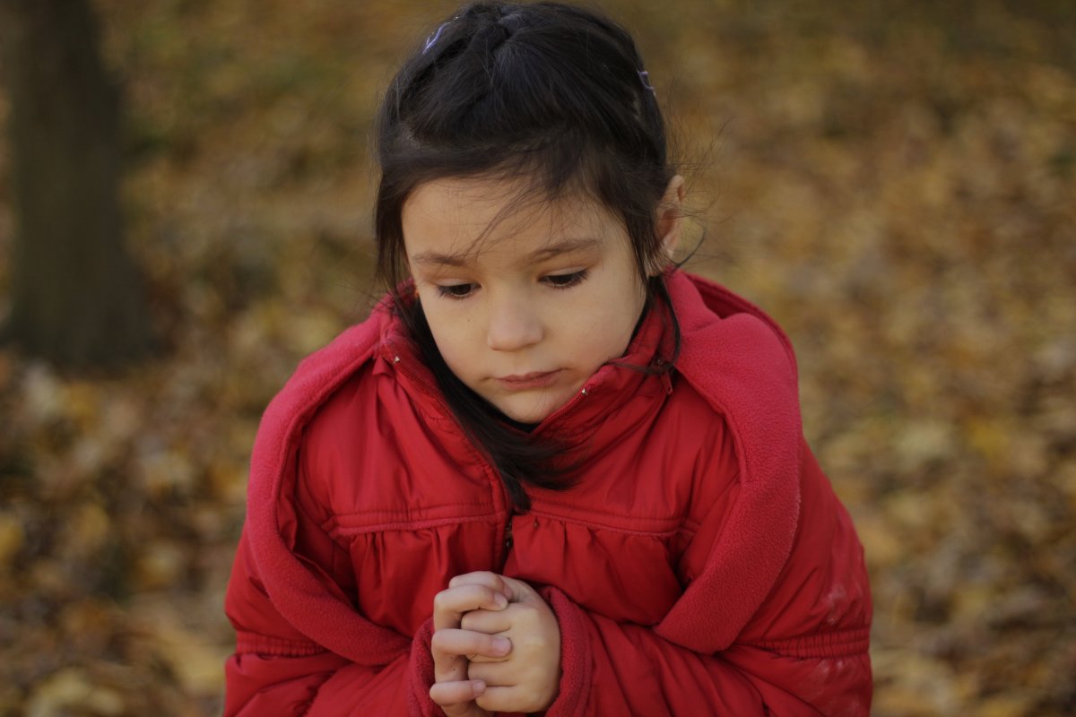 дочь в лесу - Виктория Синько