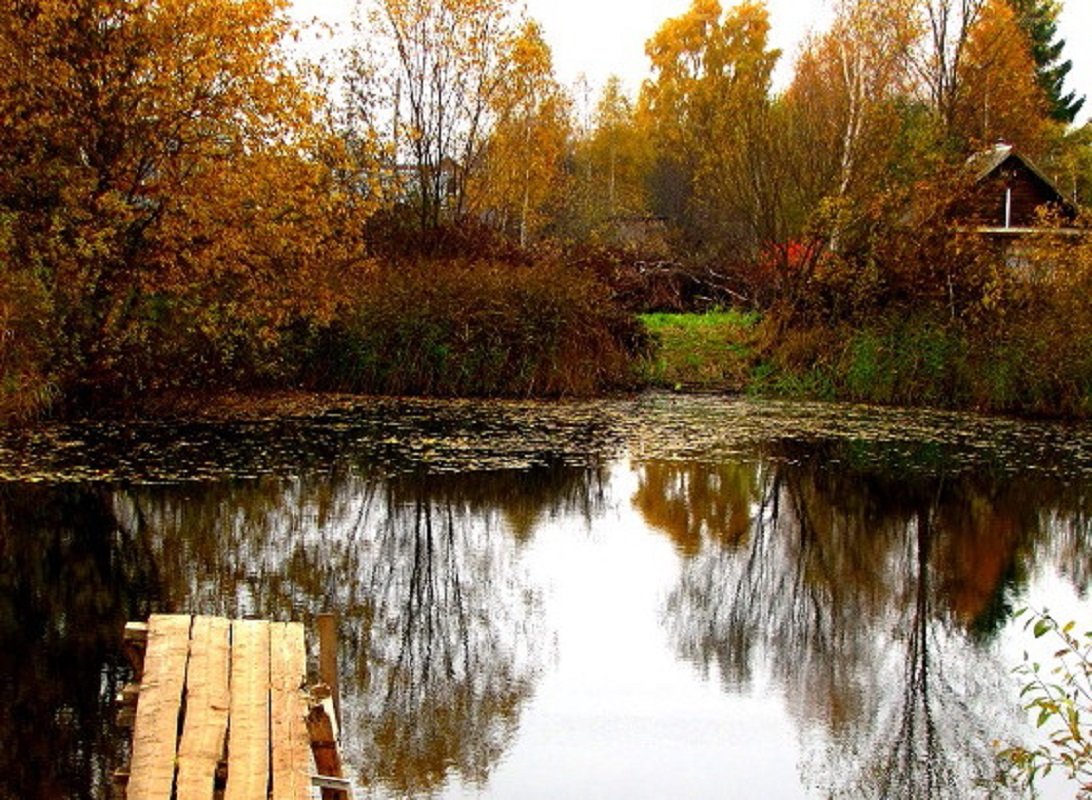 ПРУДИК - alek48s 