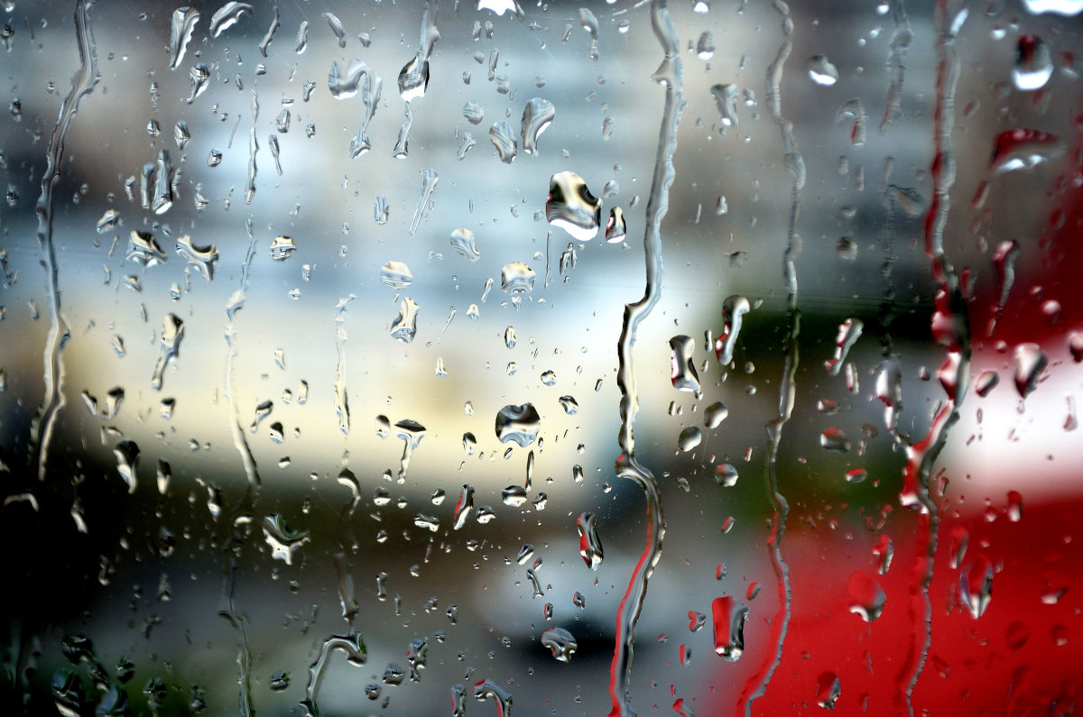 Осень - NORICO YOSHIDA 