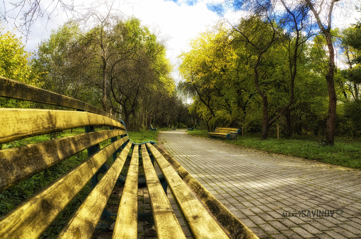 Ботанический сад опустел. - AlSa Ботанический сад опустел. - AlSa