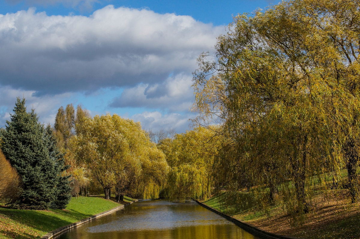 У пруда - Дмитрий Дмитрий