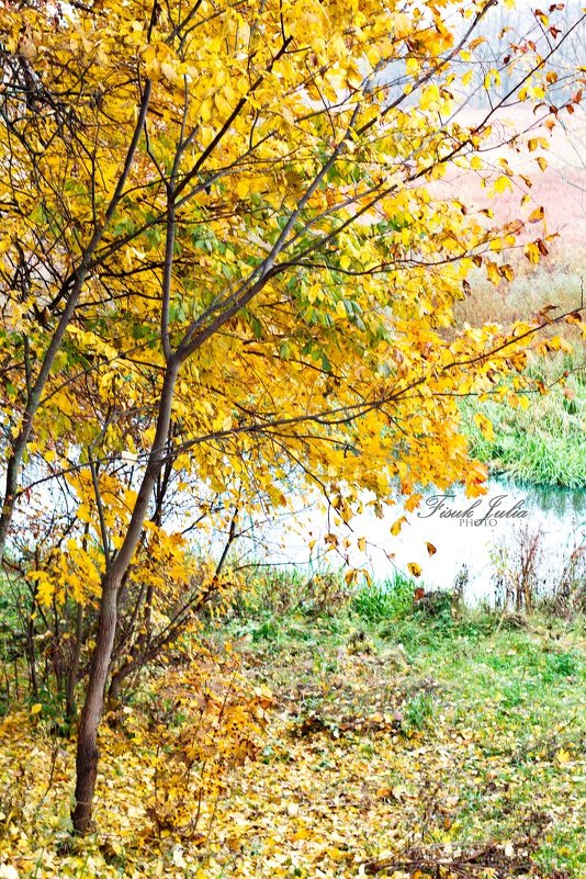 осень..... - Юлия Фисюк