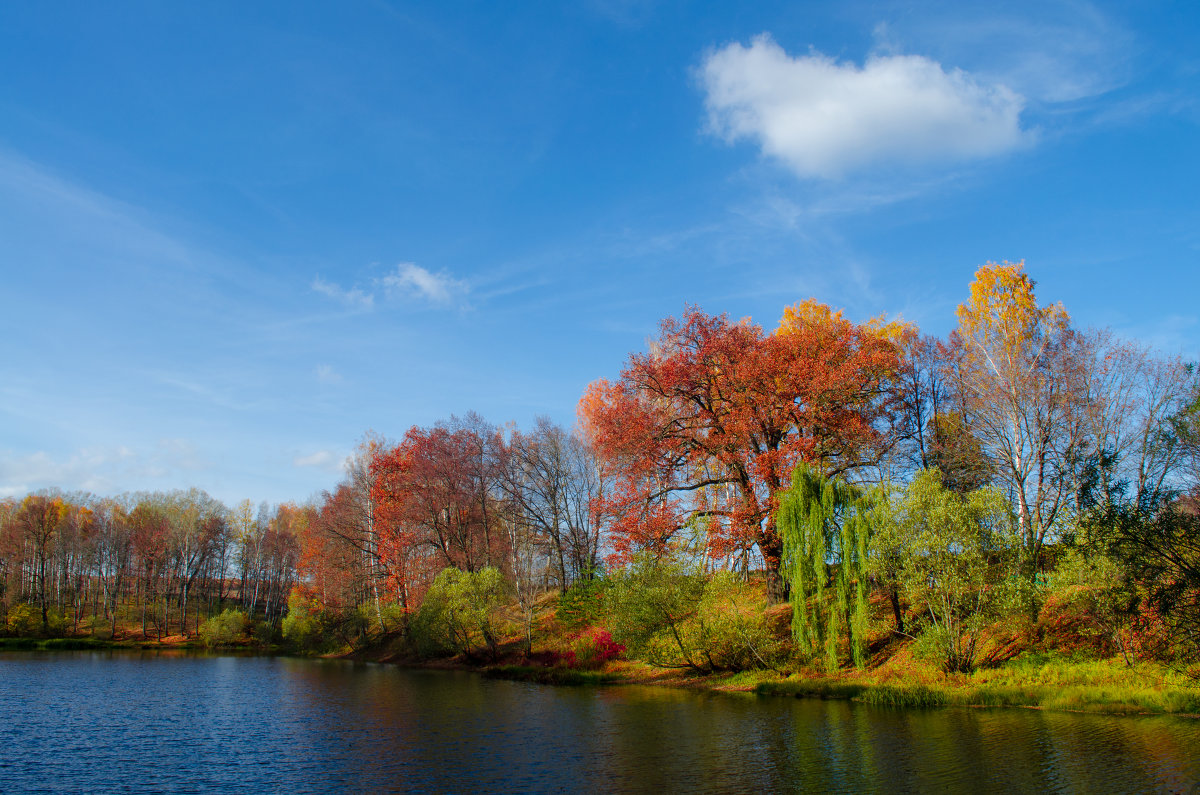 Осень в поместье И.С.Тургенева - Надежда Ефимова Осень в поместье И.С.Тургенева - Надежда Ефимова