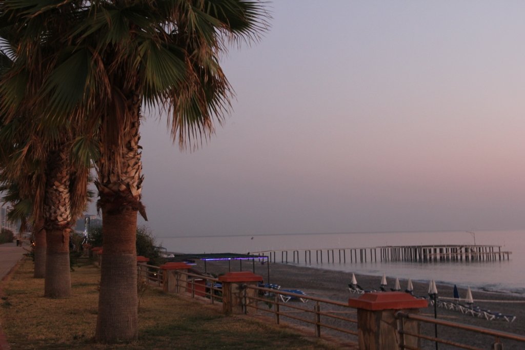 Cредиземноморская осень - Ольга Шаблий Cредиземноморская осень - Ольга Шаблий