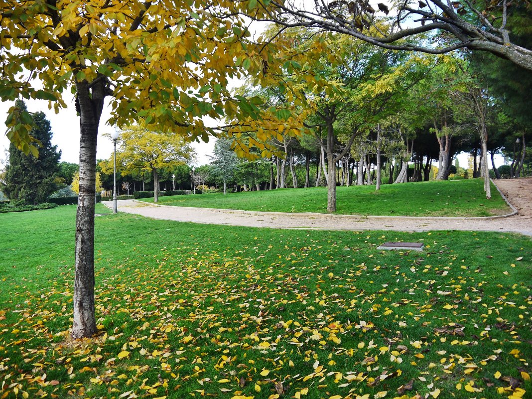 Просто осень - Дмитрий 