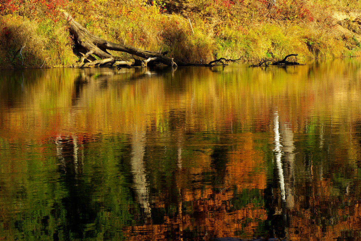 ... - Айвар Вилюмсон