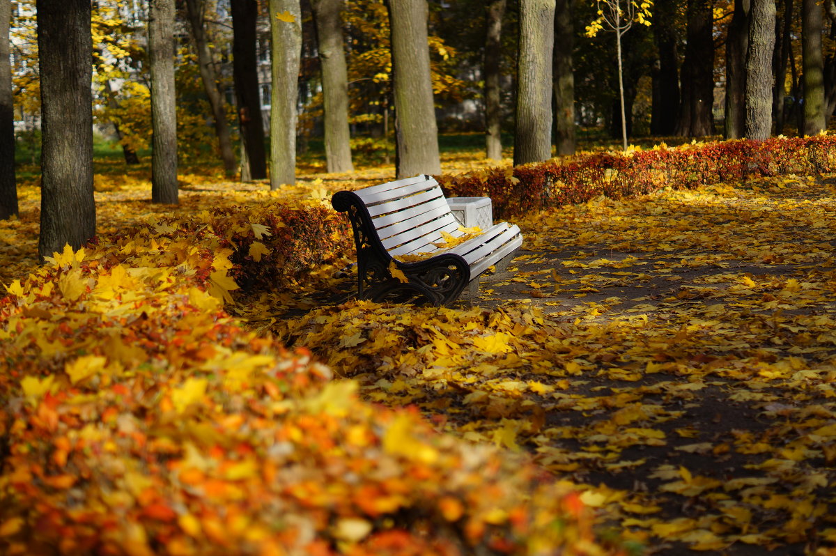 лавочка - Liza Popova
