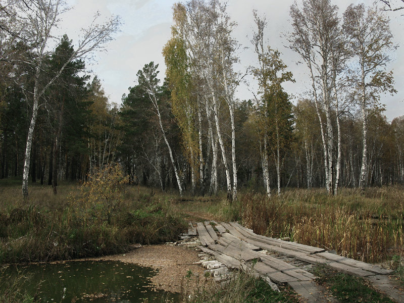 Барнаулка осенью - Георгий 