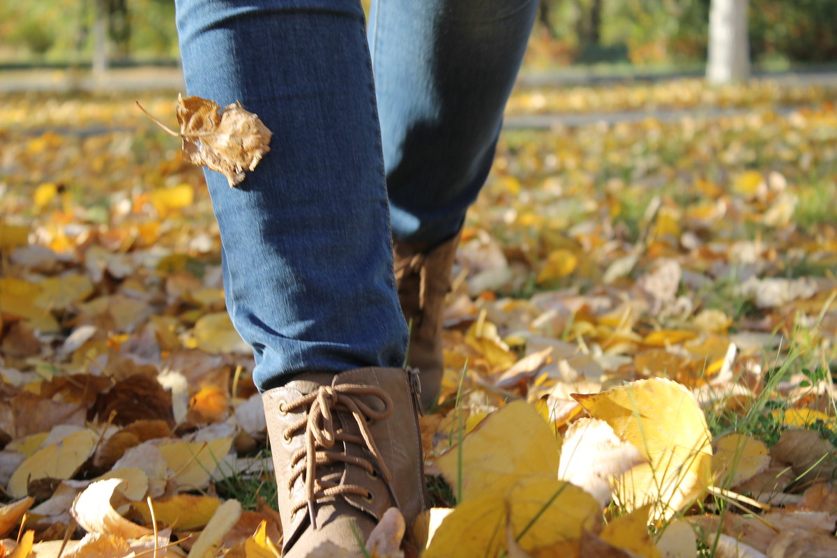 Осень - Ольга 