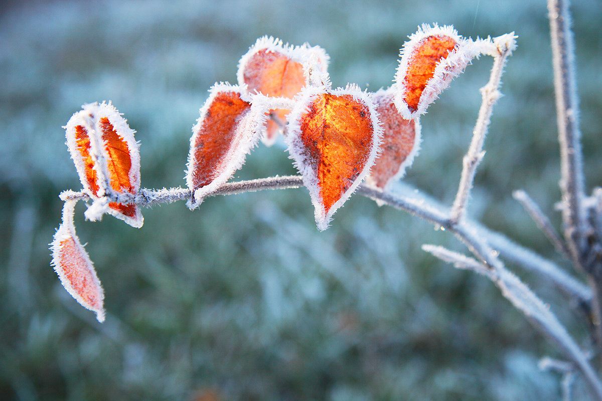 кружево - Ирина Толмачева