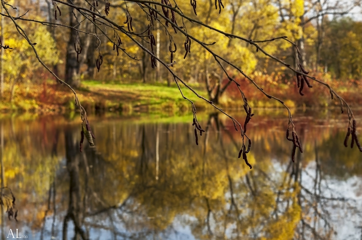 Зарисовки осени - Лана Дмитриева