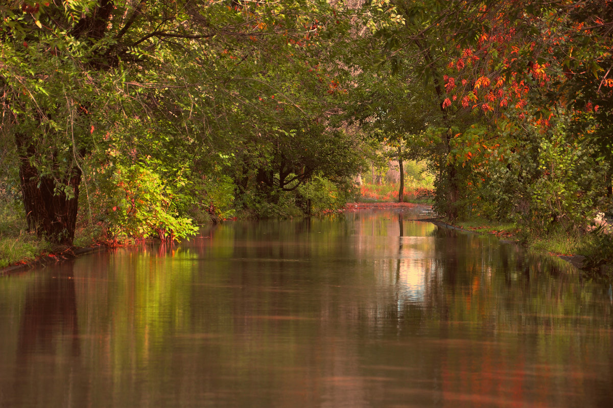 Этюд в багровых тонах - Летечко * Этюд в багровых тонах - Летечко *