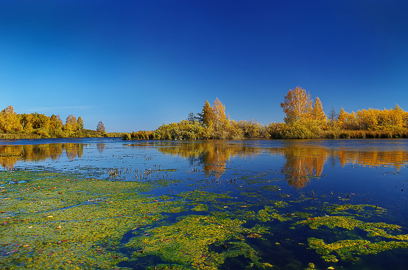 Осенняя элегия - Николай Кандауров