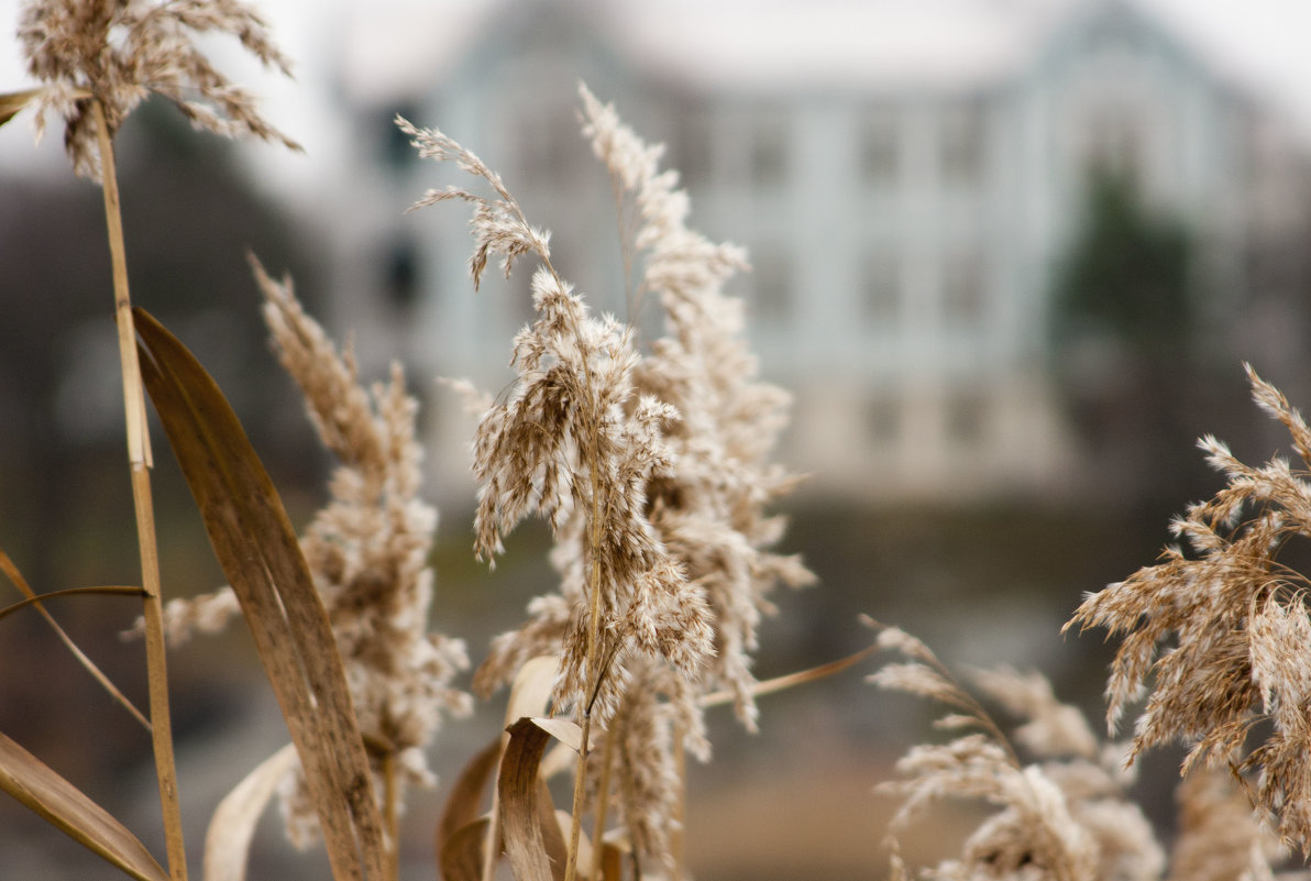 тишина - Татьяна -