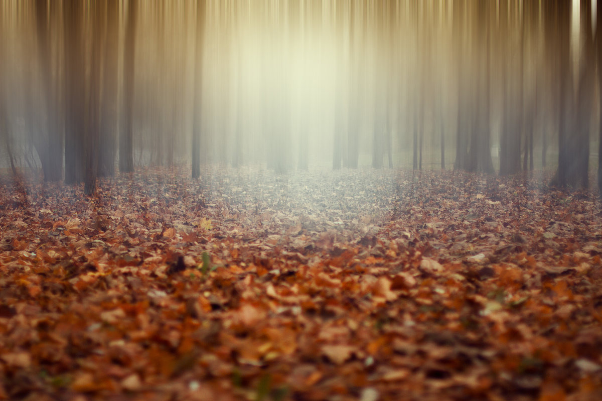 Сюреализм - Татьяна Седых Сюреализм - Татьяна Седых