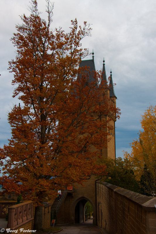 Бург Гогенцоллерн - Georg Förderer