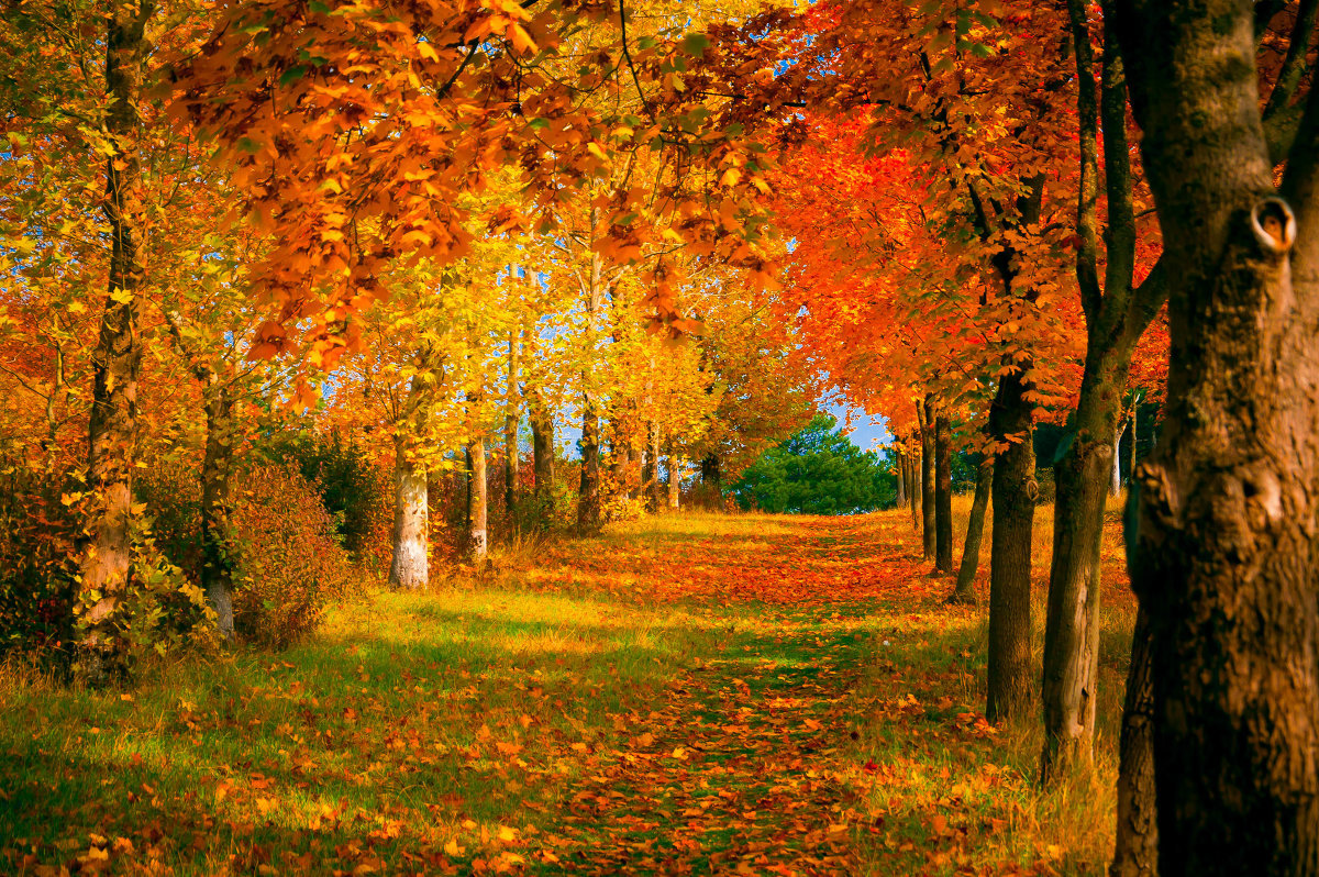 В супе ядерных цветов - Фотограф Дарья Скугарева