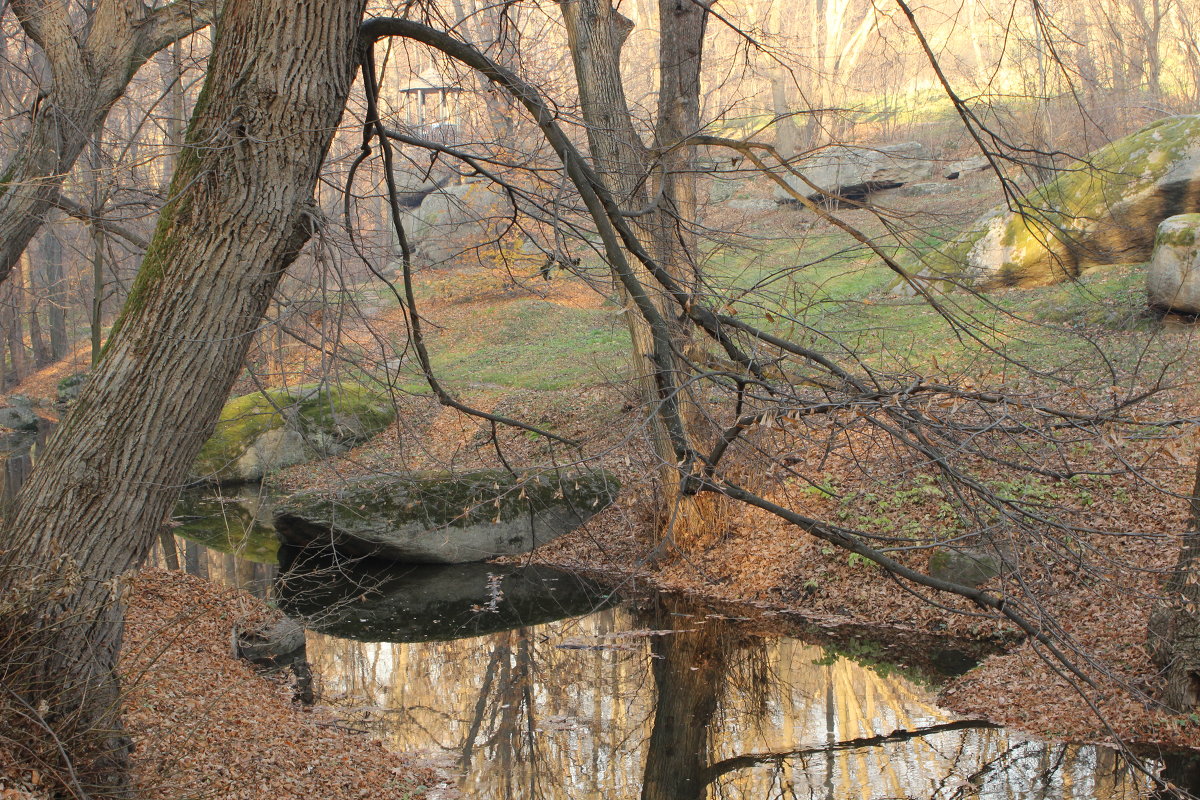 Ноябрь - София 