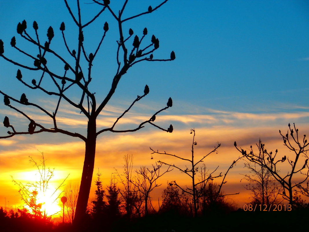В лучах заката... - Nata-li 