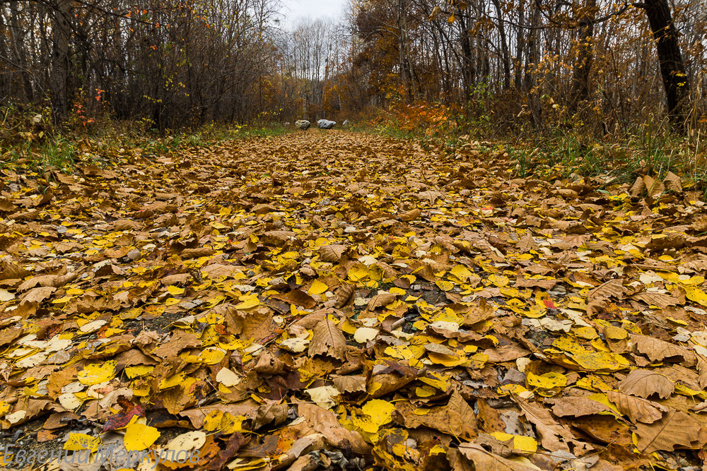 ... - Евгений Меркулов