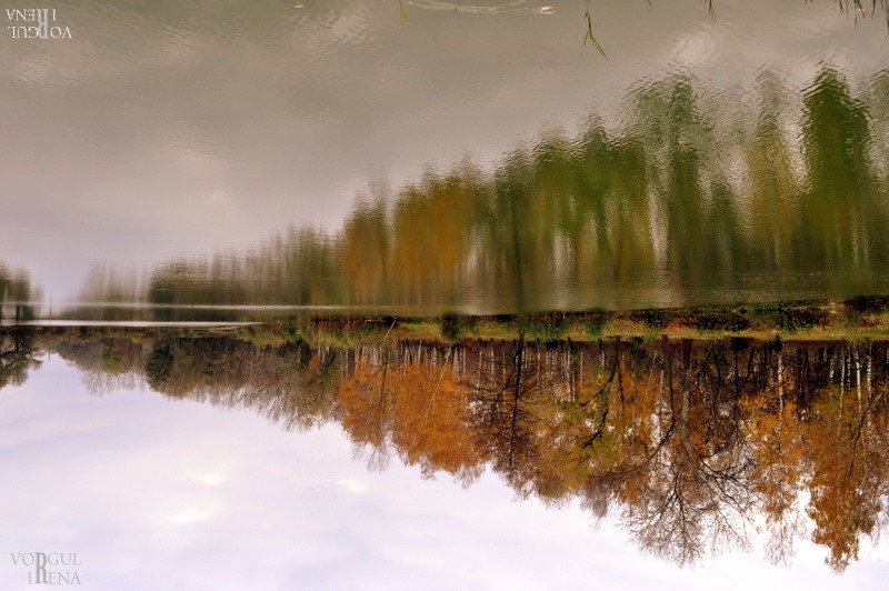 Отражение в небе - Ирена Воргуль