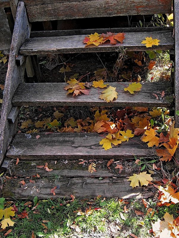 Осенняя картинка - Александр Николаев