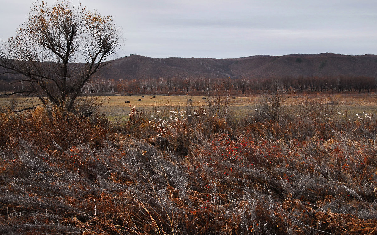 ... - Аля Бирюза