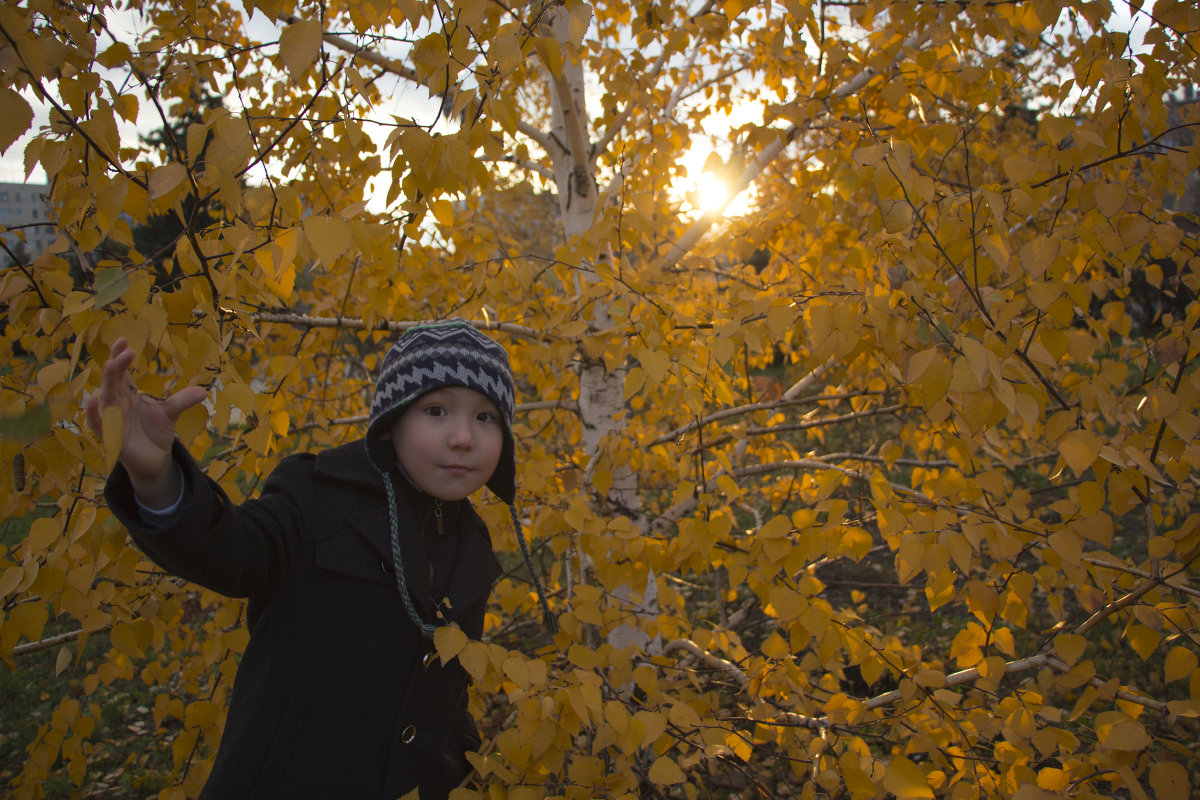 Осеннее солнце - Оксана Исмагулова