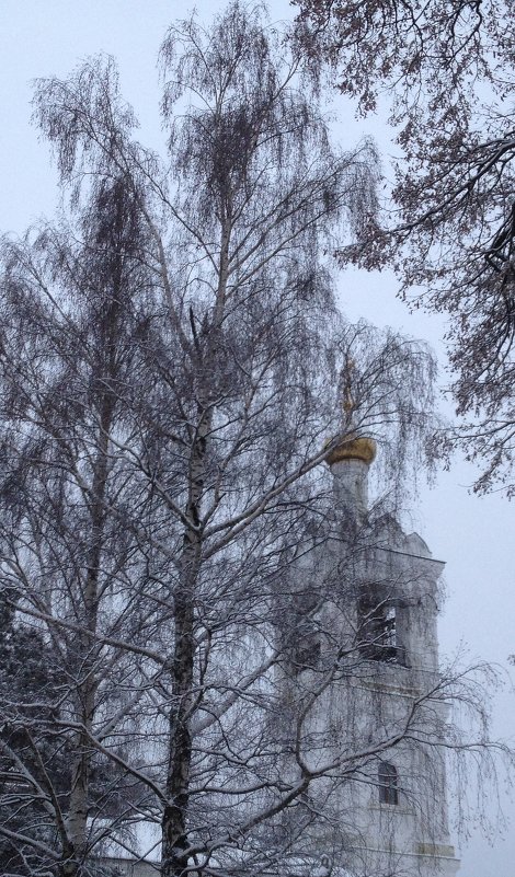 Карандашный набросок... - Натали Королева