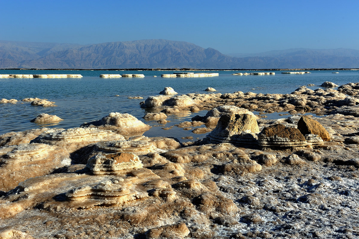 dead sea - s.f 