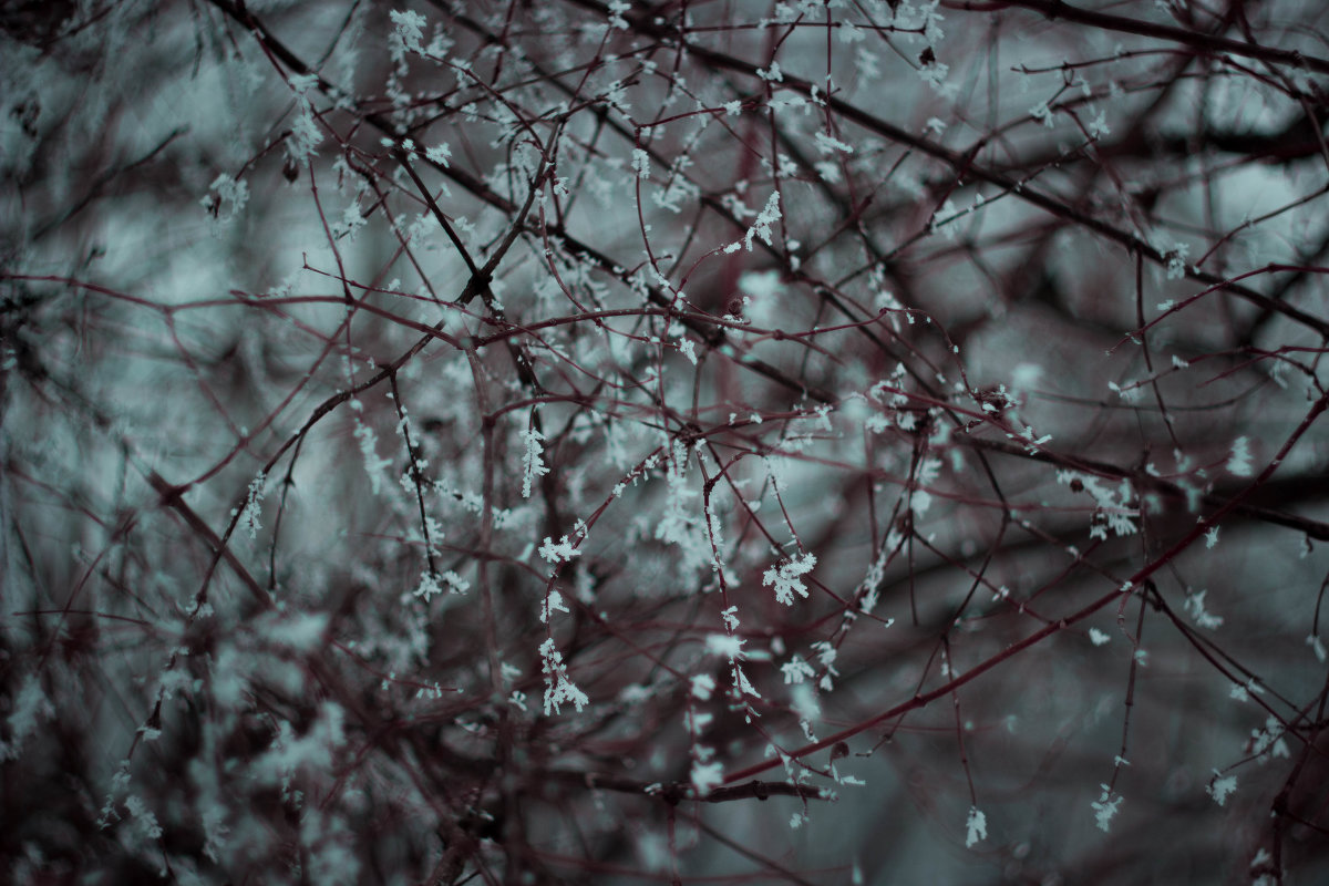 зимняя - Anastasia 