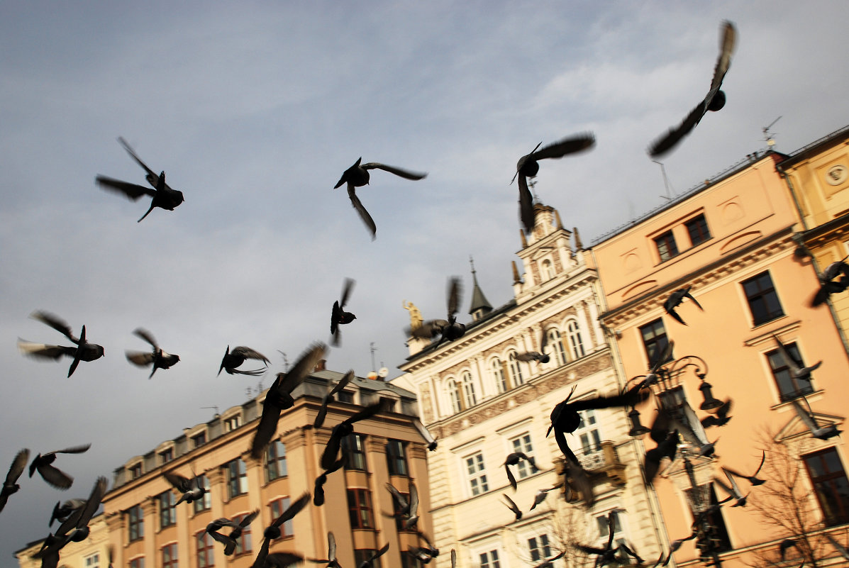 В небе Кракова - Илья Кочанов