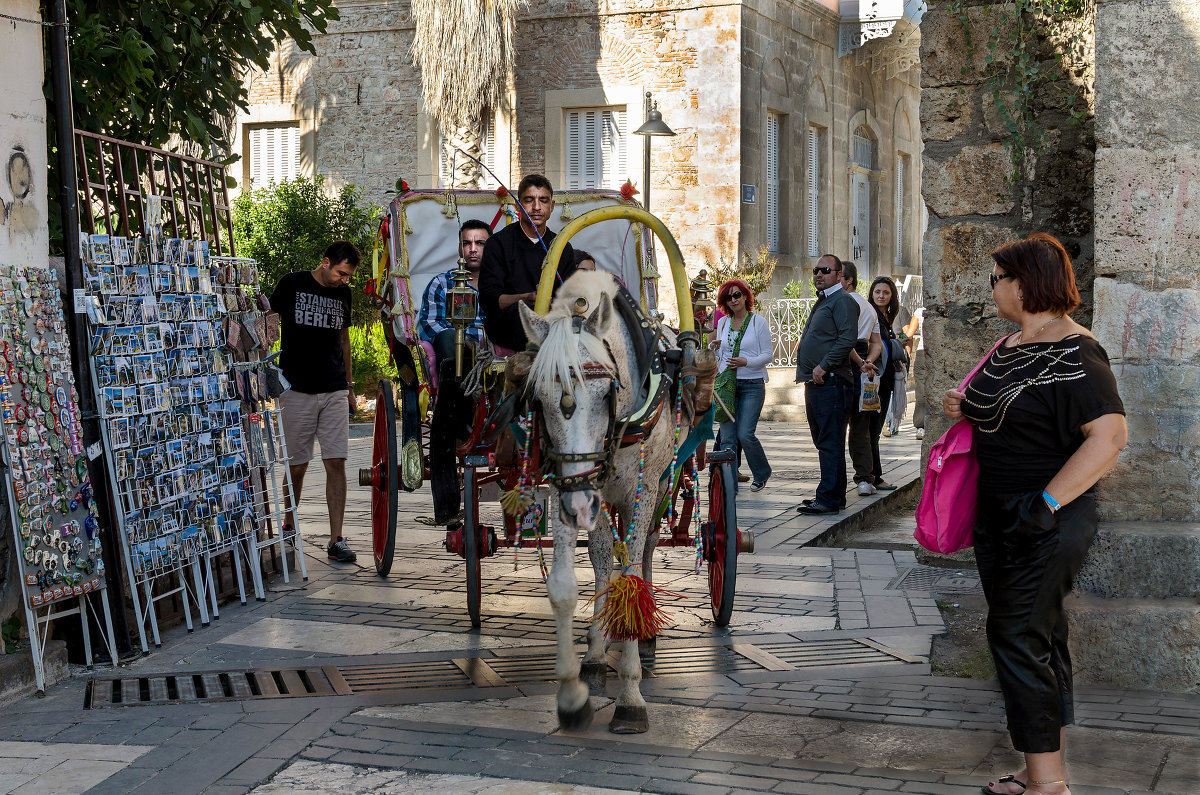 Лучший транспорт - Людмила Финкель