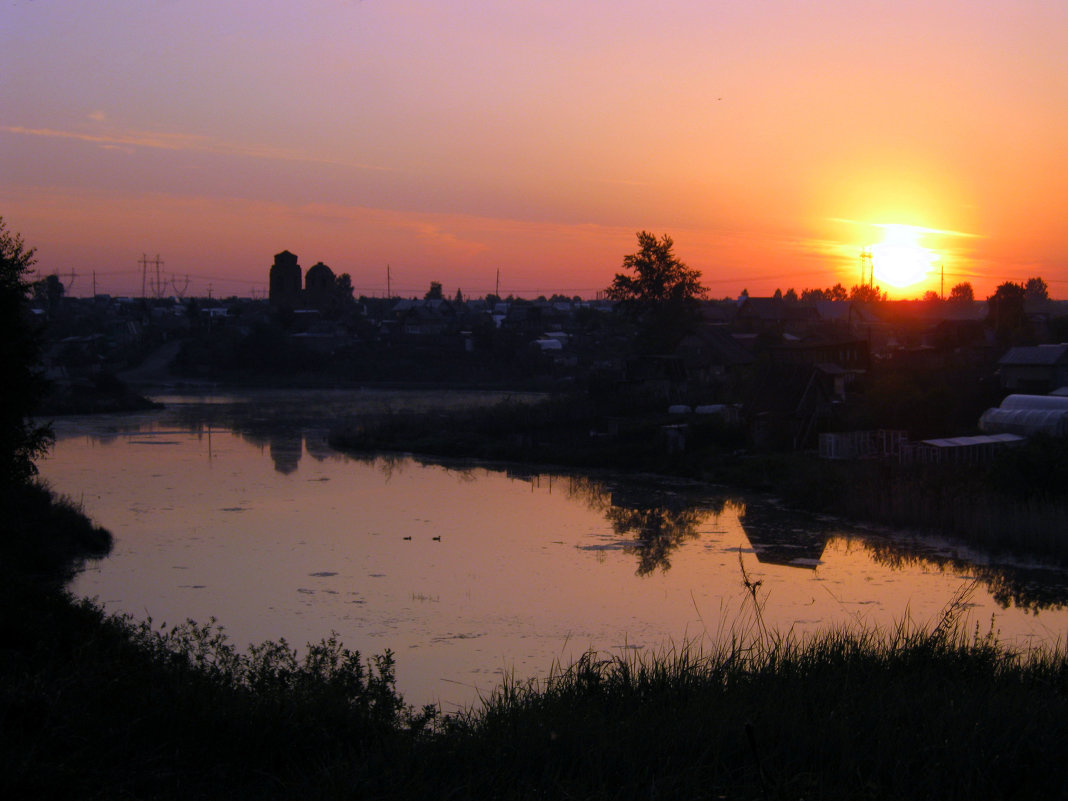 Сельская идилия - Игорь Сорокин